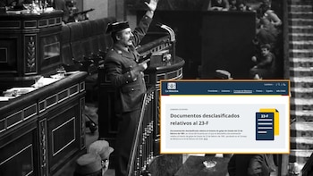 Dónde ver y cómo descargar