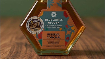 Miel de Guanacaste conquista Londres: Costa Rica gana oro en uno de los premios apícolas más prestigiosos del mundo