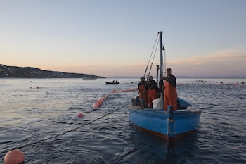 Imagen G2MYDWE43VECXIUBB4YR4QXV7U