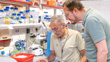 El yogur podría convertirse en una nueva forma de tratar el cáncer: el CNIO investiga cómo los probióticos pueden convertirse en aliados