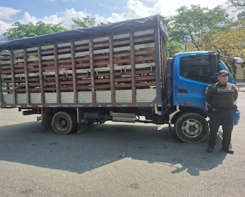 Este fue el camión que