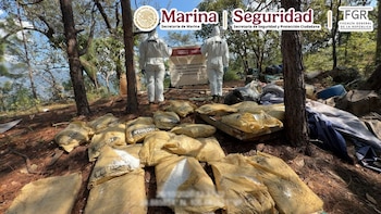 Narcolaboratorios en Durango