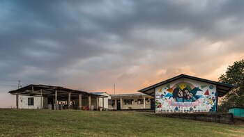 ¿Qué está pasando en los