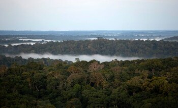 FOTO DE ARCHIVO: Vista desde el Observatorio de la Torre Alta del Amazonas (ATTO) en Sao Sebastiao do Uatuma en medio de la selva amazónica en el estado de Amazonas, 8 de enero de 2015