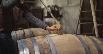 Bodega Can Suriol, en el Penedès