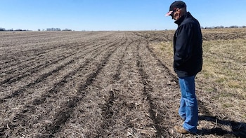 El precio del maíz se hunde y deja a los agricultores vendiendo a pérdidas en una campaña marcada por la sequía: “No vamos a cubrir los gastos”