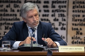 El ministro del Interior, Fernando Grande-Marlaska, durante la Comisión de Investigación sobre el 'caso Koldo' en el Senado (Fernando Sánchez / Europa Press)
