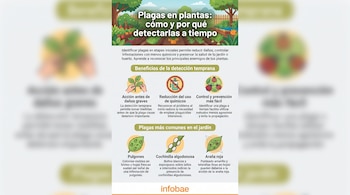 Infografía con el título Plagas en plantas, con secciones informativas sobre la detección temprana e ilustraciones de plagas comunes.