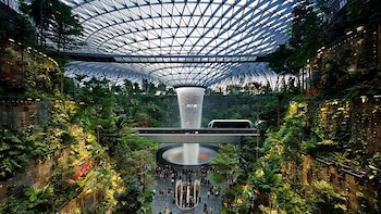 Jewel Changi sumó más de 200 especies de árboles y flora en un diseño de Safdie Architects y Benoy que lo posiciona como atracción para visitantes (Wikimedia Commons)