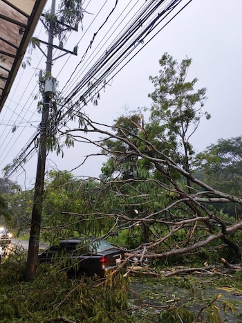 La institución detalló afectaciones en San Rafael de Guanacaste, Camaronal, San Antonio de Bijagual, Lanas de Puriscal, Lajas, Agujitas, Angostura y Montelimar, y afirmó que muchos incidentes ya quedaron solucionados (Foto cortesía ICE)