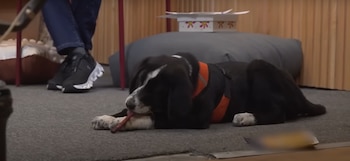 Durante su podcast abordaron temas