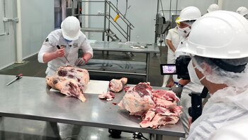 La capacitación abordará, entre otros