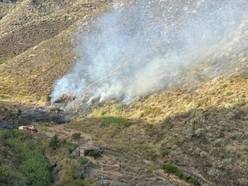 Imagen de archivo: Medios insulares