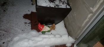 Usuarios reportaron afectaciones por la