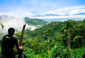 El Serfor es la entidad