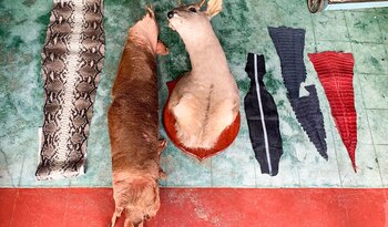 Clausuran negocio en Oaxaca por