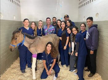 El manejo posquirúrgico de Valentino