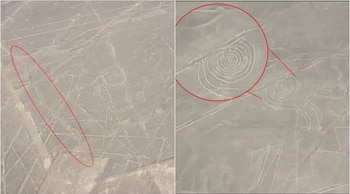 La Contraloría califica la situación