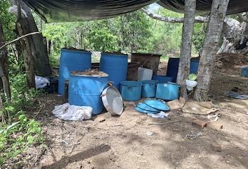 Tres laboratorios clandestinos de metanfetamina fueron desmantelados en Cosalá, Sinaloa, durante un operativo coordinado por autoridades federales el 13 de julio de 2026. Crédito: Especial
