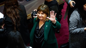 Ley de propiedad privada: sin la venta de tierra a extranjeros, comenzó la sesión en el Senado