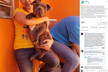 (Foto: Facebook @apadrinaxollines)