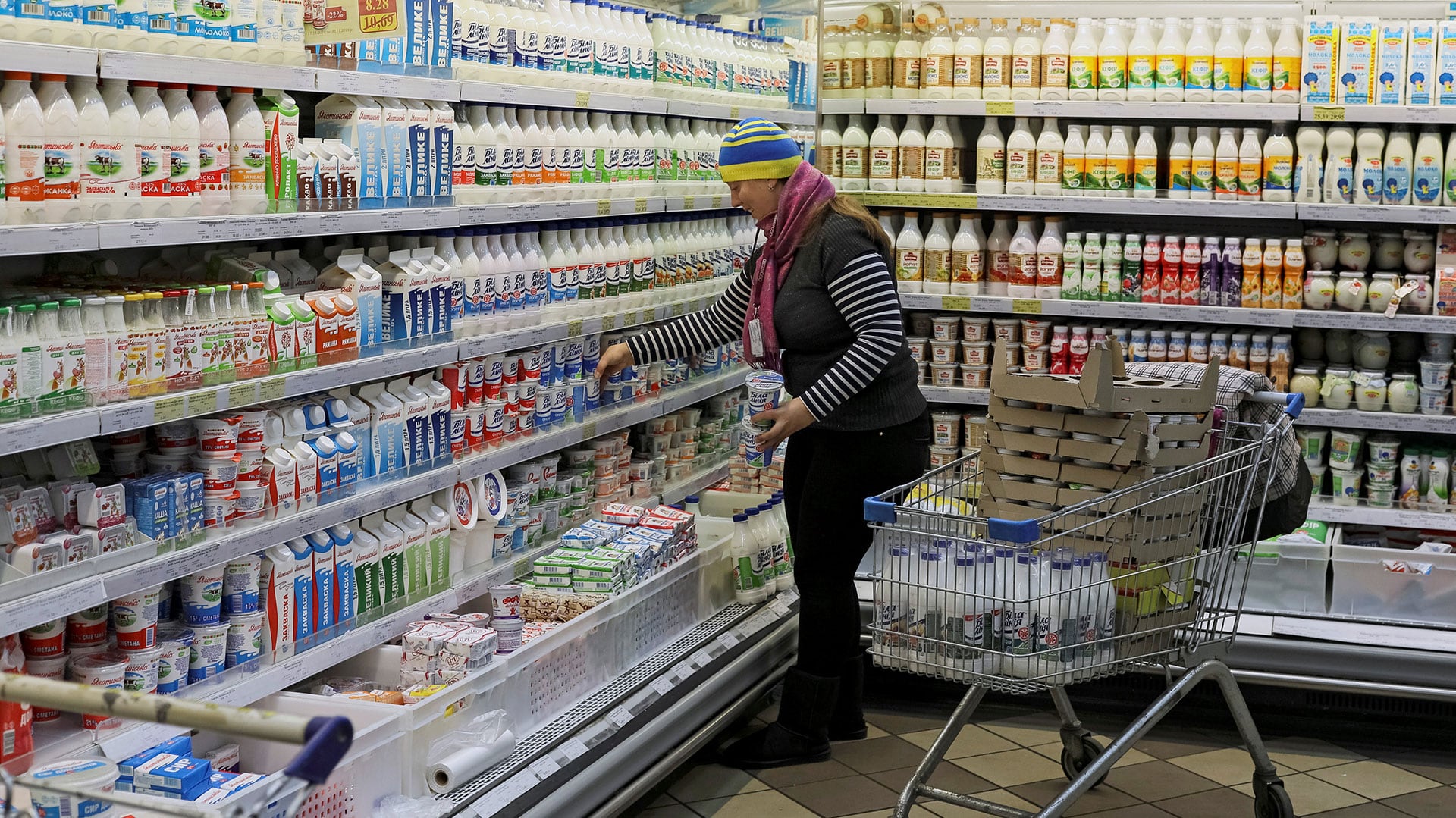 La región patagónica concentró los changuitos más caros (Reuters)