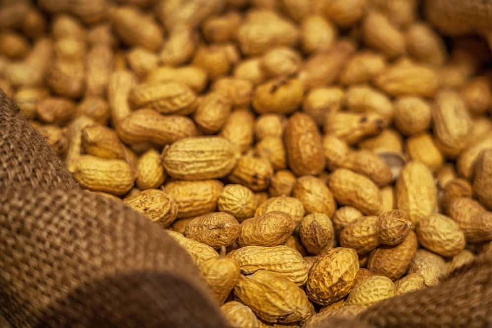 Las exportaciones de maní registraron el valor más alto en 20 años (Shutterstock)