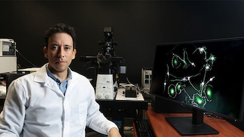 Un científico chileno ganó el