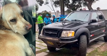 Plantean que policías y bomberos intervengan en rescate de animales encerrados en vehículos.