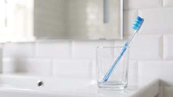 Guardar el cepillo de dientes mojado: el mal hábito que favorece las bacterias