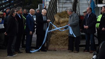 Horacio Rodríguez Larreta y Nicolás