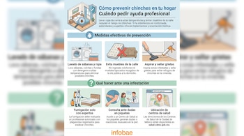 Infografía sobre prevención de chinches con ilustraciones de lavado de ropa, muebles, aspiradora, sellador de grietas, fumigación, consulta médica y mapa.
