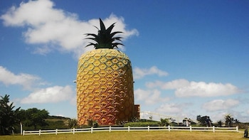 La estructura del Big Pineapple, construida en acero y fibra de vidrio, mide 16 metros y permitió a los visitantes subir a una plataforma de observación (Big Pineapple)