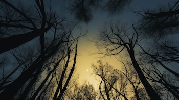 La luna muestra una parte