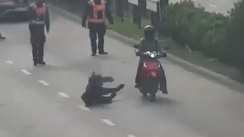 Video: atropelló a una inspectora de tránsito, se fugó y terminó detenida tras una intensa persecución