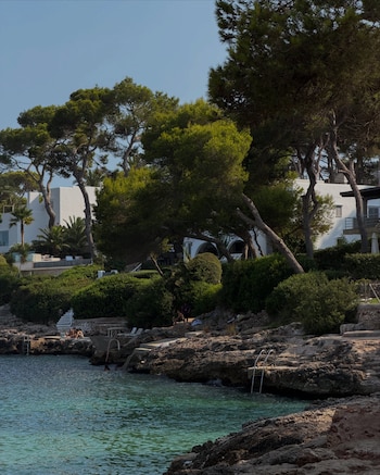 Un paisaje costero con mar turquesa, rocas, edificios blancos y pinos. Varias personas se encuentran cerca de la orilla y en escaleras que bajan al agua