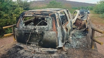 (Foto: X@PandaDelAmor17)