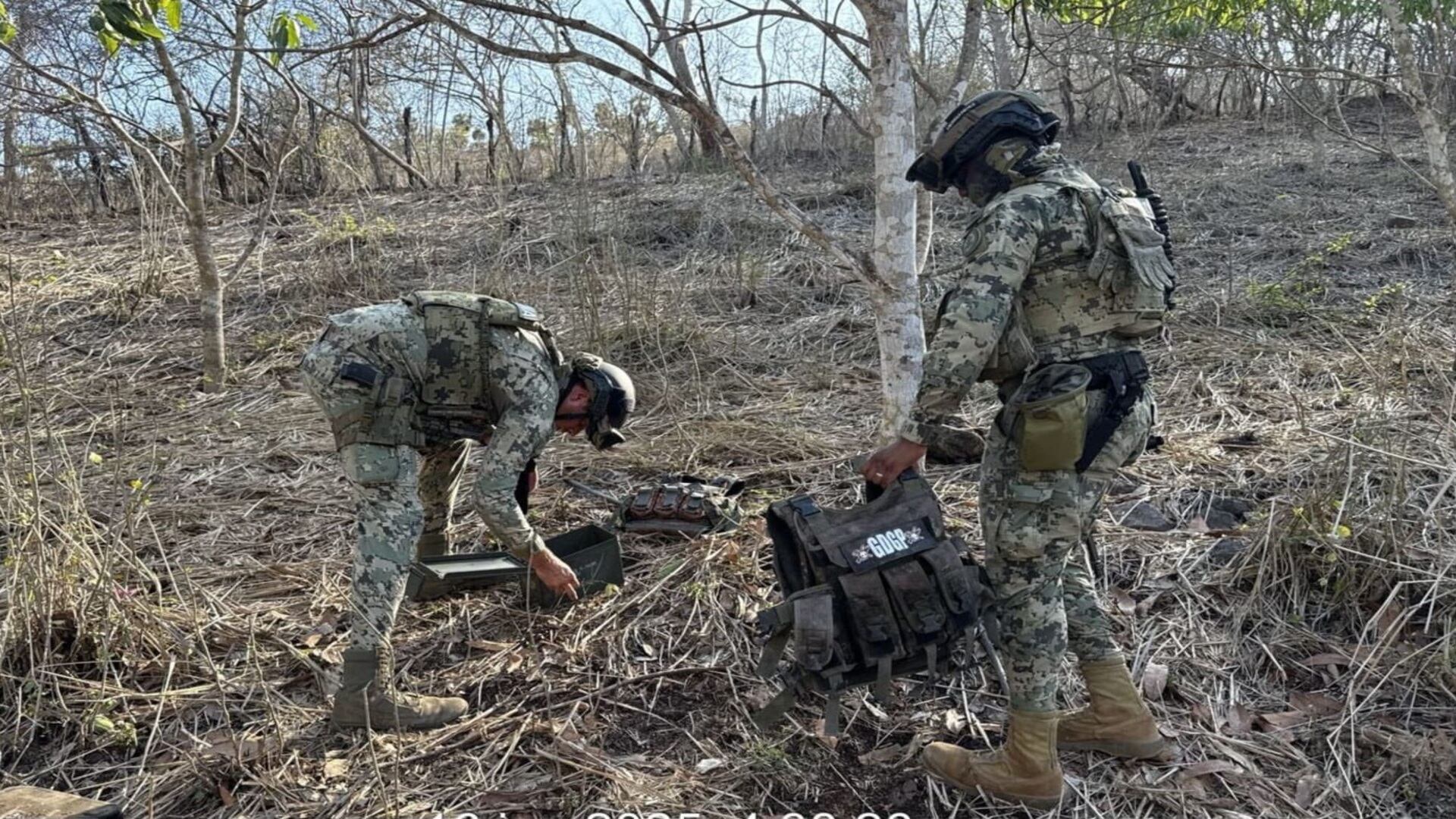 Los campamento fueron hallados en el poblado El Camarón(SSP Sinaloa)