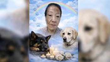 Colectivo defensor de derechos humanos exige justicia para Anaid Belén, rescatista de animales víctima de feminicidio