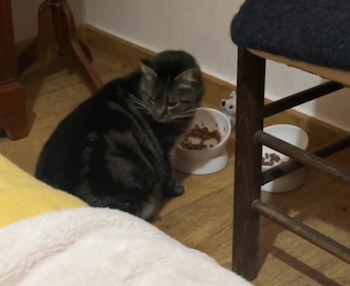 Ahora, Lili vive segura y