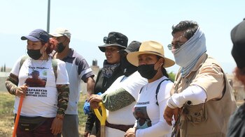 Suchgruppen finden neue narcograves in