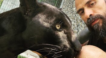 FOTO: IG @noche_cartel