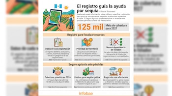 Infografía con el mapa de Guatemala, ilustraciones de cultivos, un agricultor con tableta digital, datos numéricos e íconos explicativos.