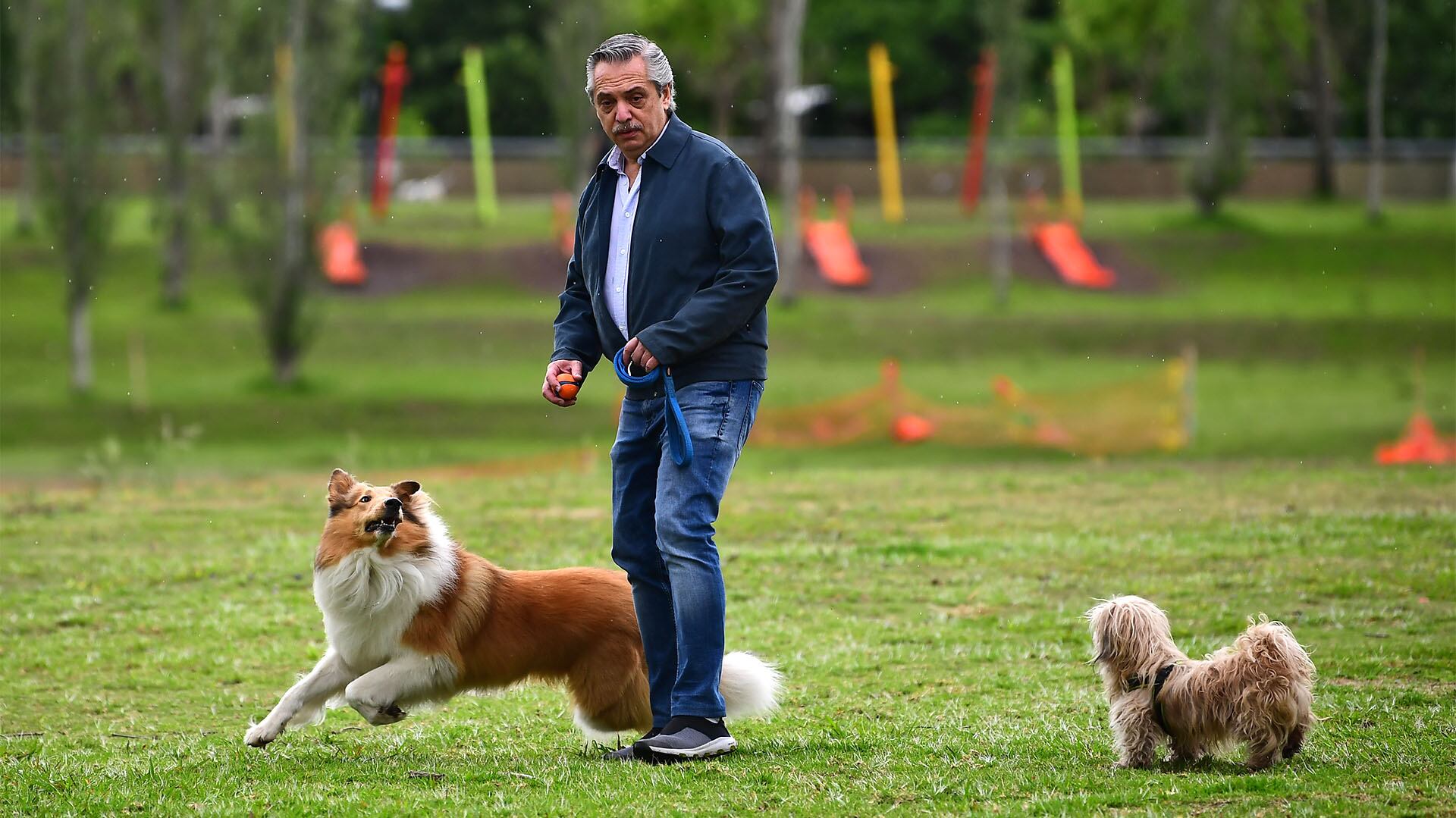 Durante la campaña presidencial de 2019, Dylan acompañó a Alberto Fernández. (Photo by Ronaldo SCHEMIDT / AFP)