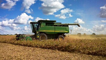 El gobierno decidió no modificar