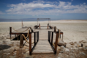 La rápida aparición de la