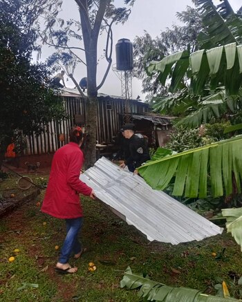 Las tareas de asistencias y