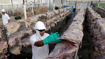 Ricardo Monreal solicitó informe sobre