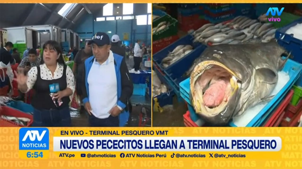 Reporteros de televisión transmiten desde el Terminal Pesquero de Villa María del Triunfo sobre la llegada de nuevas especies marinas debido al fenómeno de El Niño.