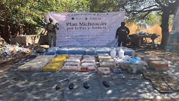 Plan Michoacán logró la detención